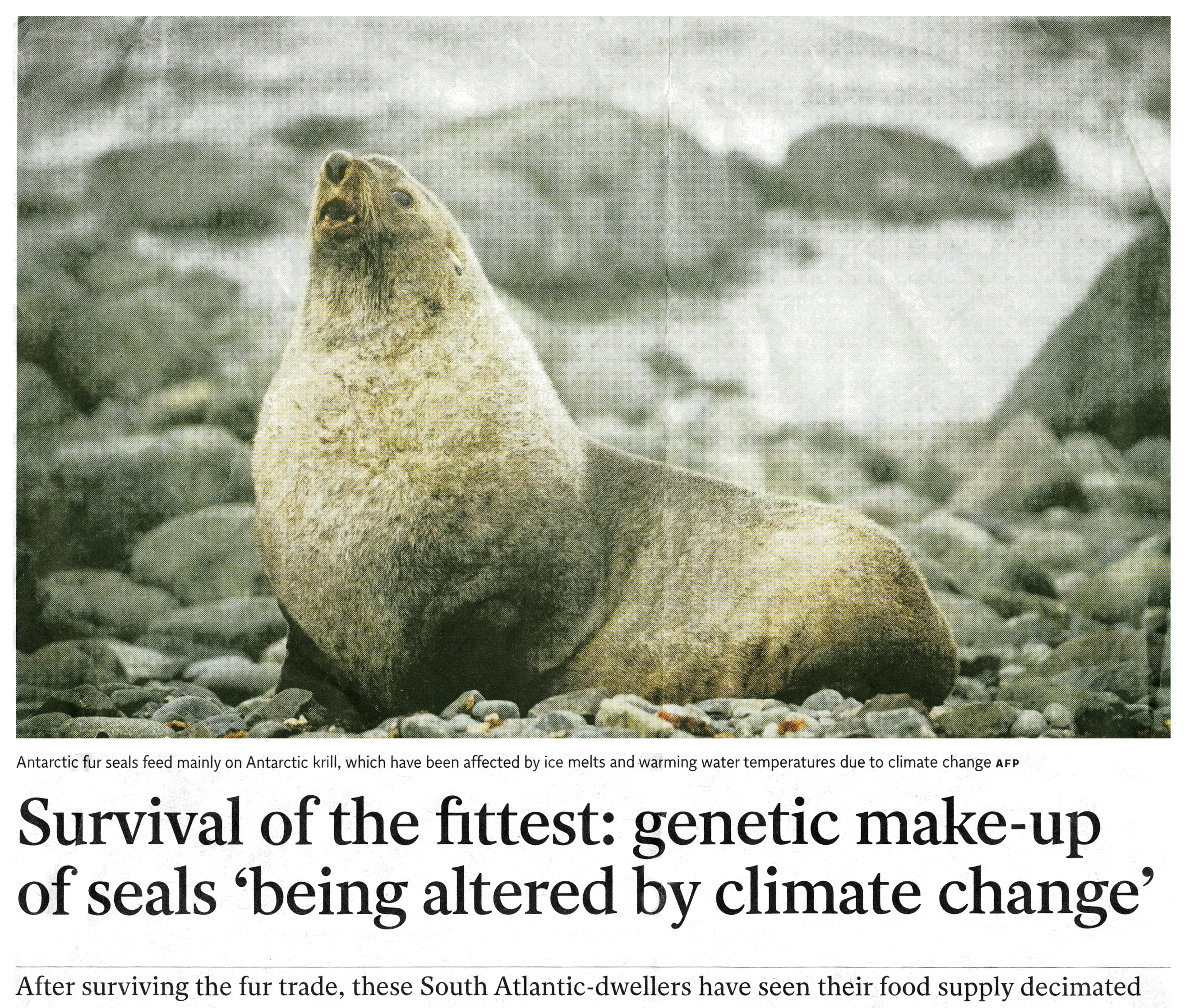 SZ-Archiv: A56881071