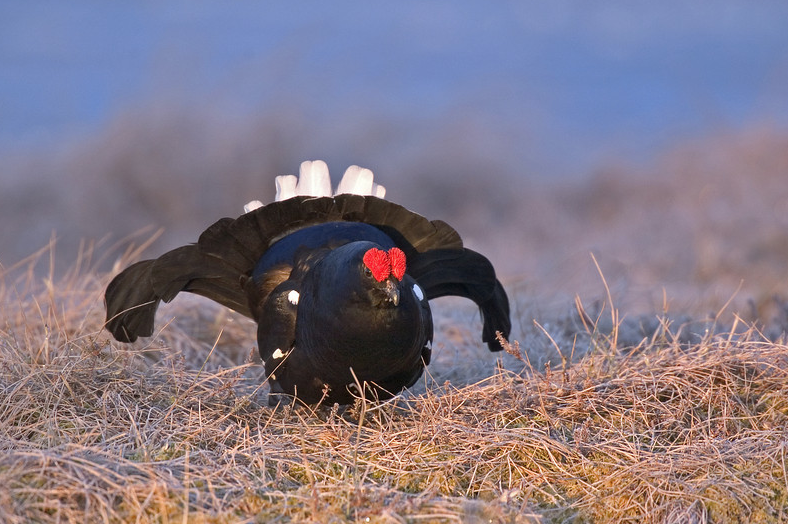 Screenshot 2020-11-17 at 10.34.34